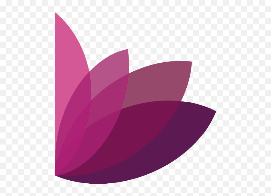 Petals - Girly Png,Petals Png