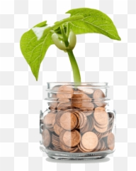 Money Tree Transparent Background - Png