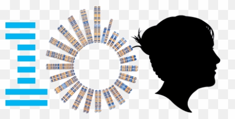 Ibm100 - Pioneering Genetic Privacy Farm Photo With Windpump png