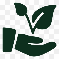 Tree Services U2014 Bc Plant Health Care - Language png
