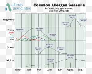Certified Pollen Count La Crosse And Onalaska Wisconsin - Diagram Png,Pollen Png
