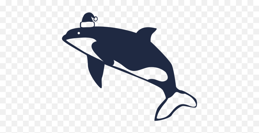 Whale Png U0026 Svg Transparent Background To Download - Common Dolphins,Whale Icon