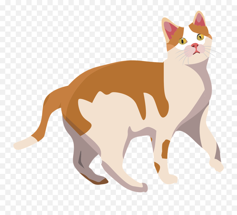 Catanimalmammalcutepet - Free Image From Needpixcom Cat Walking Clipart Png,Kawaii Cat Icon