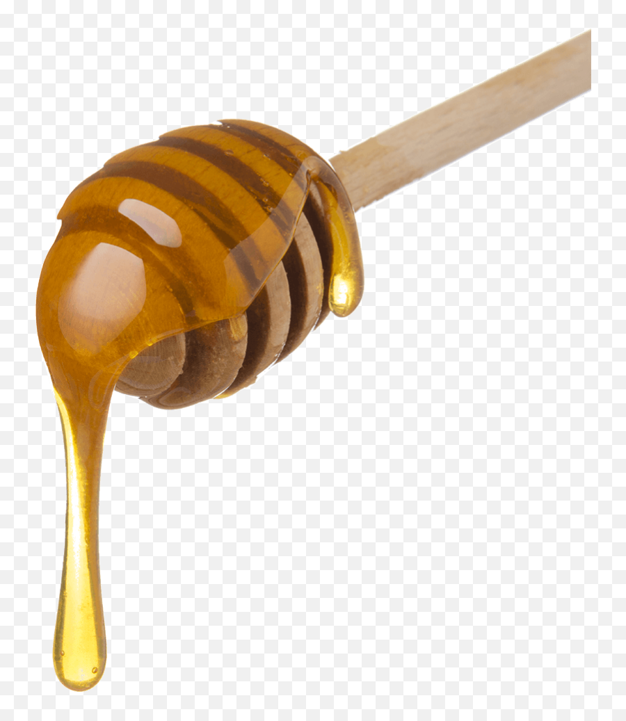 Leeu0027s Bees Honey - Lone Rock Farms Bemidji Mn Honey Spoon Png,Honey Wand Icon