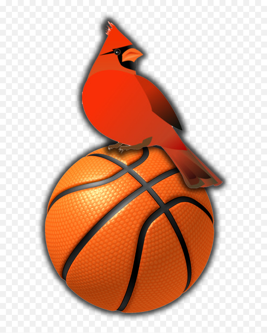 Woodlawn Schools - 2019 Mtc Boys Basketball Tournament Basketball Png Hd,Icon M?t C??i