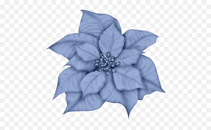 Silver Poinsettia Clipart - Blue Christmas Flower Png,Poinsettia Png