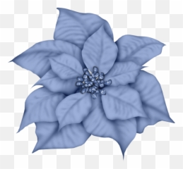 Silver Poinsettia Clipart - Blue Christmas Flower Png,Poinsettia Png