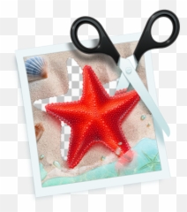 Remove Background From Image - Teorex Photoscissors png