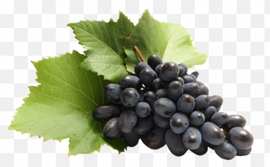 Grappe De Raisin Png 1 Image - Pink Panther Purple Juice,Raisin Png