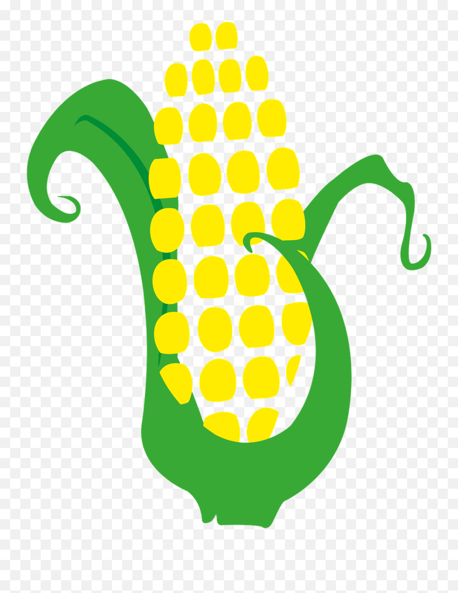 Corn Cob Harvest - Maiz Png,Corn Cob Png