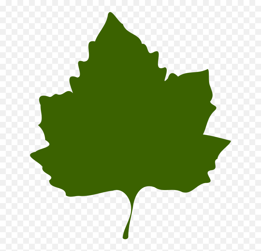 Free Leaf Cartoon Png Download - Clip Art Grape Leaves,Leaf Cartoon Png