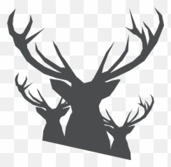Elk Clipart Canada - Santa And Sleigh Silhouette Png Elks Of Canada,Elk Png