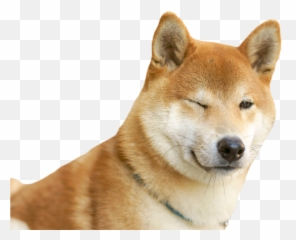 Doggo - Doggo Png,Doggo Png