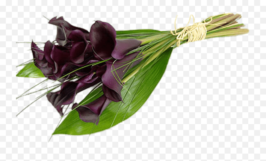 Purple Calla Lilies Transparent Png - Calla Bouquet,Lillies Png