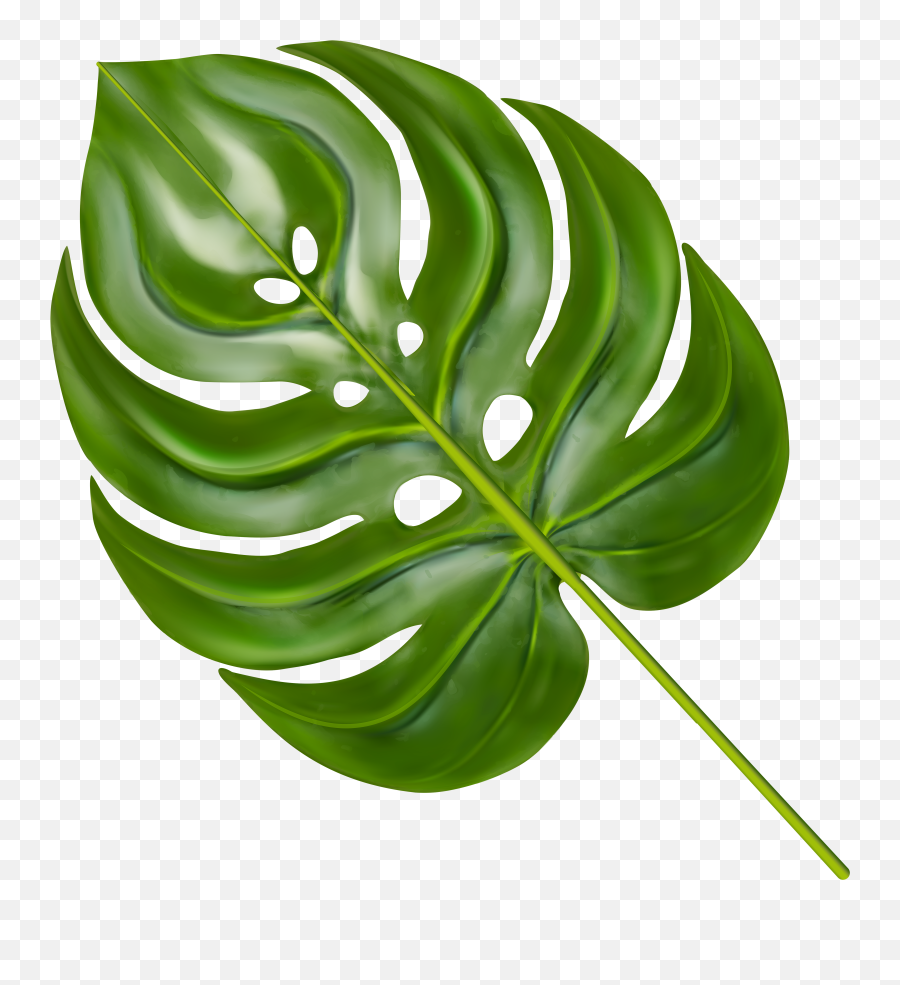 Monstera Leaf Clipart - Transparent Background Monstera Leaf Png,Leaf Transparent Background