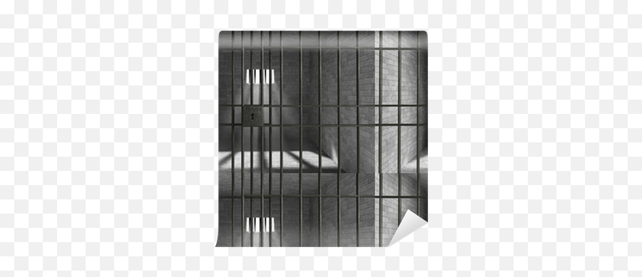 Jail Bars Wallpaper Pixers - Mesh Png,Transparent Jail Bars