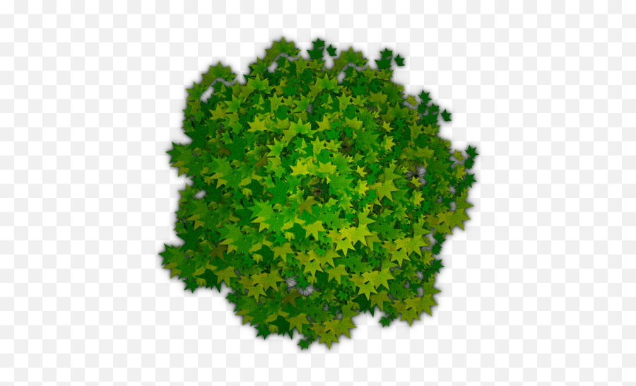 Tree Top View Png Photoshop Picture - Tree From Top Transparent Background,Tree Plan Png
