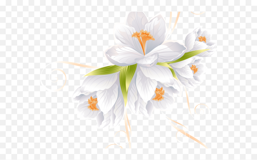 Download White Flower Clipart - Transparent Background White Flower Png,Flower Clipart Transparent Background