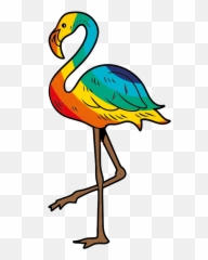 Httpsimgurcomgallerynf1zors Daily - Greater Flamingo png