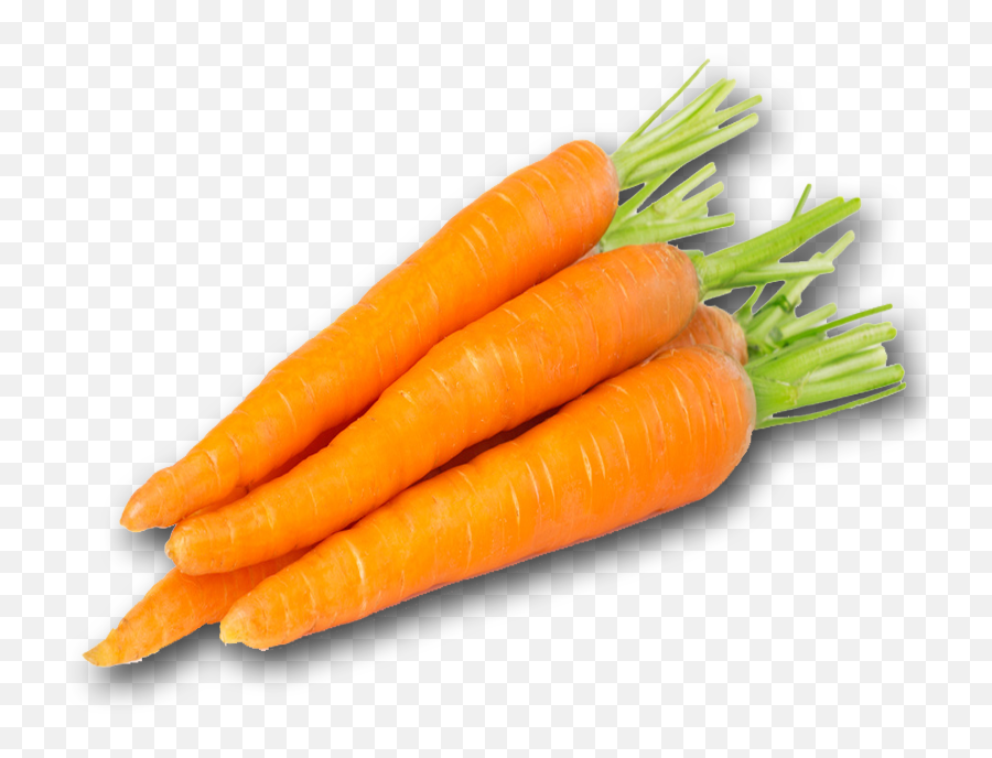 Carrot Png Pic - Carrot Png,Carrot Transparent Background