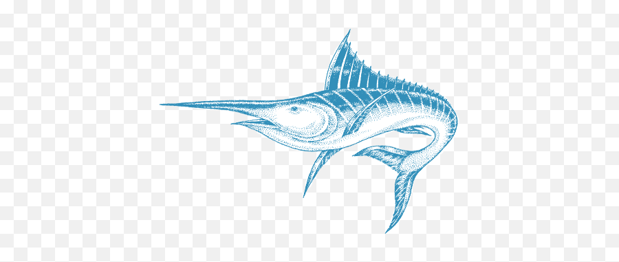 Download Atlantic Blue Marlin Png Image - Atlantic Blue Marlin,Marlin Png