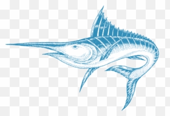 Download Atlantic Blue Marlin Png Image - Atlantic Blue Marlin,Marlin Png