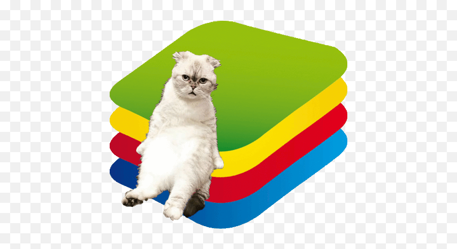 Bluestacks Cool Server Sticker - Bluestacks Cool Server Kind Of Cat Does Taylor Swift Have Png,Bluestacks Icon