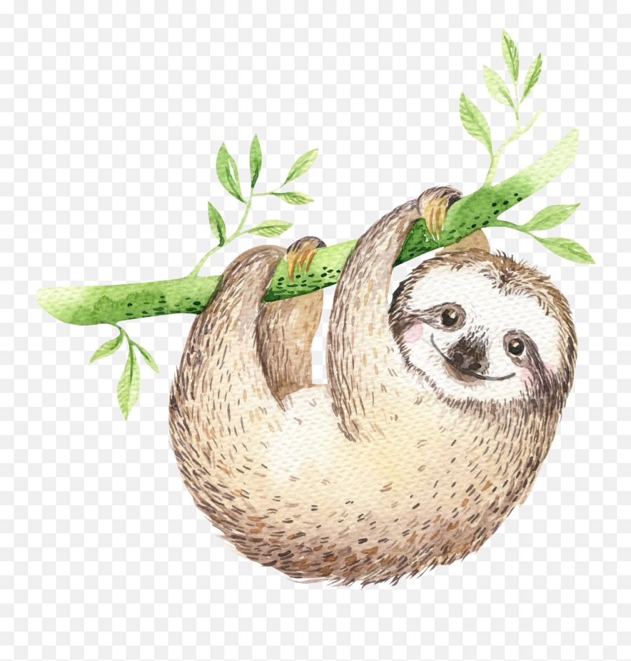 Sloth Cartoon - Dont Give Up Cute Transparent Cartoon Don T Give Up Poster Png,Sloth Png