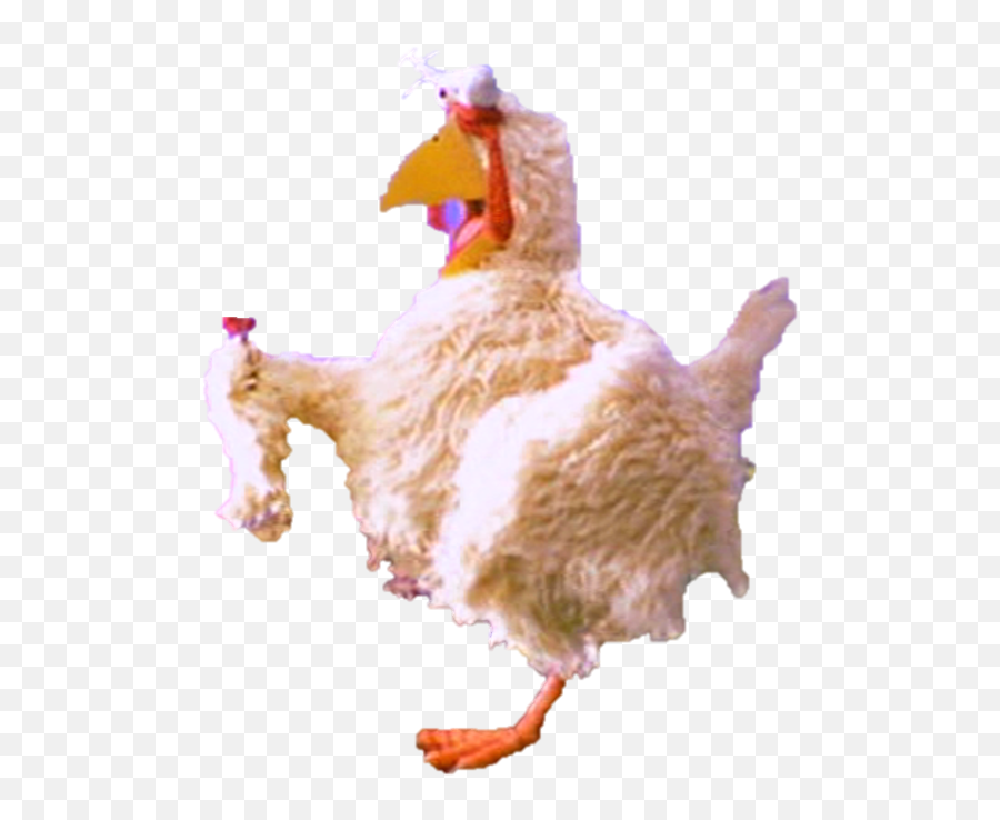 Humongous Chicken Character Tribute Wiki Fandom - Sesame Street Humongous Chicken Png,Chicken Transparent