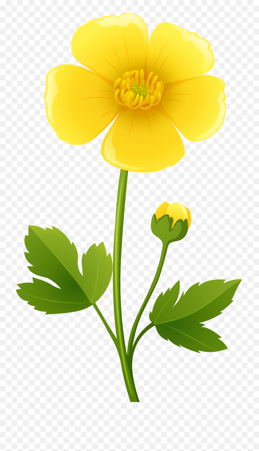 Yellow Flower Transparent Png Clip Art - Clipart Buttercup,Flower Cartoon Png