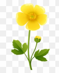 Yellow Flower Transparent Png Clip Art - Clipart Buttercup,Flower Cartoon Png