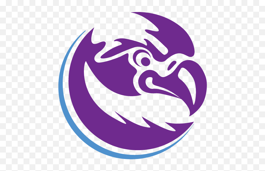 School Graphics - Falcon Logo Png,Falcons Logo Png