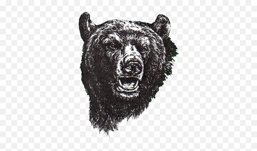 North Carolina Bears U2013 Deaf Sports Logos - North Carolina School For The Deaf Bears Png,Bear Logos
