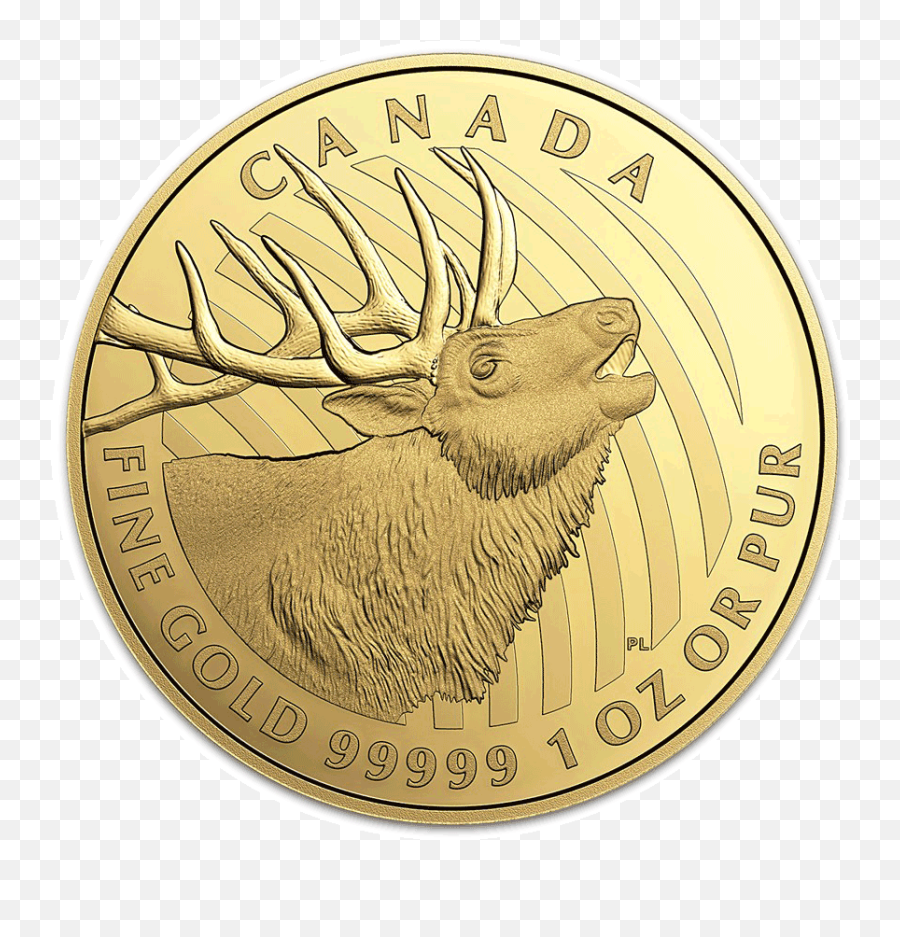 2017 Bugling Elk Canadian Gold Coin U2014 Montgomery Chandler - 2020 Maple Gram Png,Elk Png