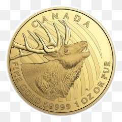 2017 Bugling Elk Canadian Gold Coin U2014 Montgomery Chandler - 2020 Maple Gram Png,Elk Png