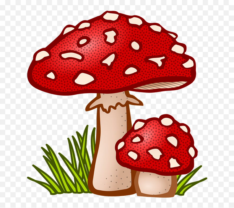 Toadstool Png 5 Image - Mushroom Clipart,Toadstool Png