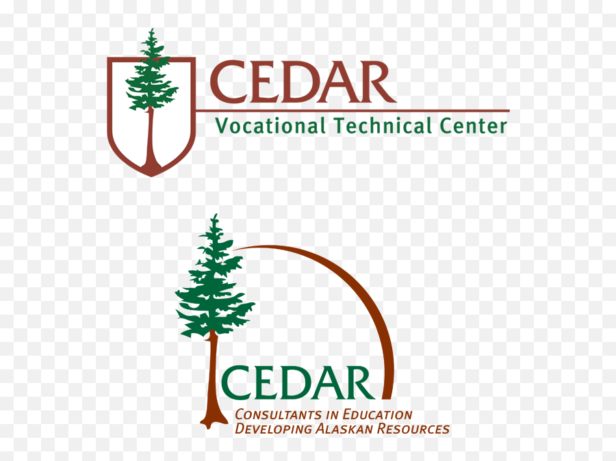Cedar Vocational Training Centre Dotdesign - Christmas Tree Png,Cedar Tree Png