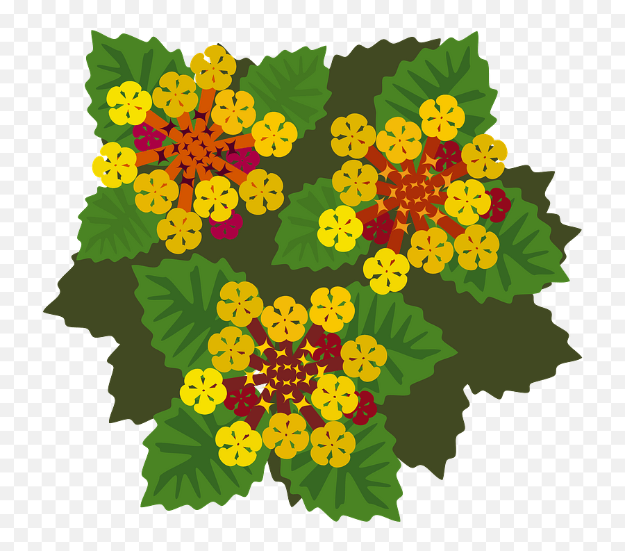 Yellow Flowers With Red Centers Clipart Free Download - Lantana Flower Clipart Png,Yellow Flower Transparent