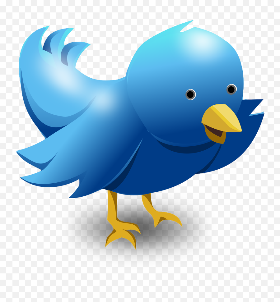 Twitter Logo Png Images Free Download - Larry The Bird Twitter,Twitter Bird Transparent