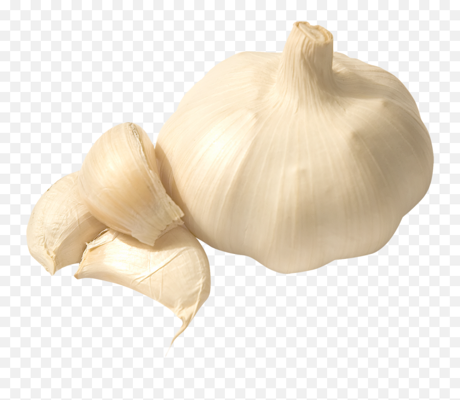 Garlic Png Image - Clove Of Garlic Png,Garlic Transparent Background
