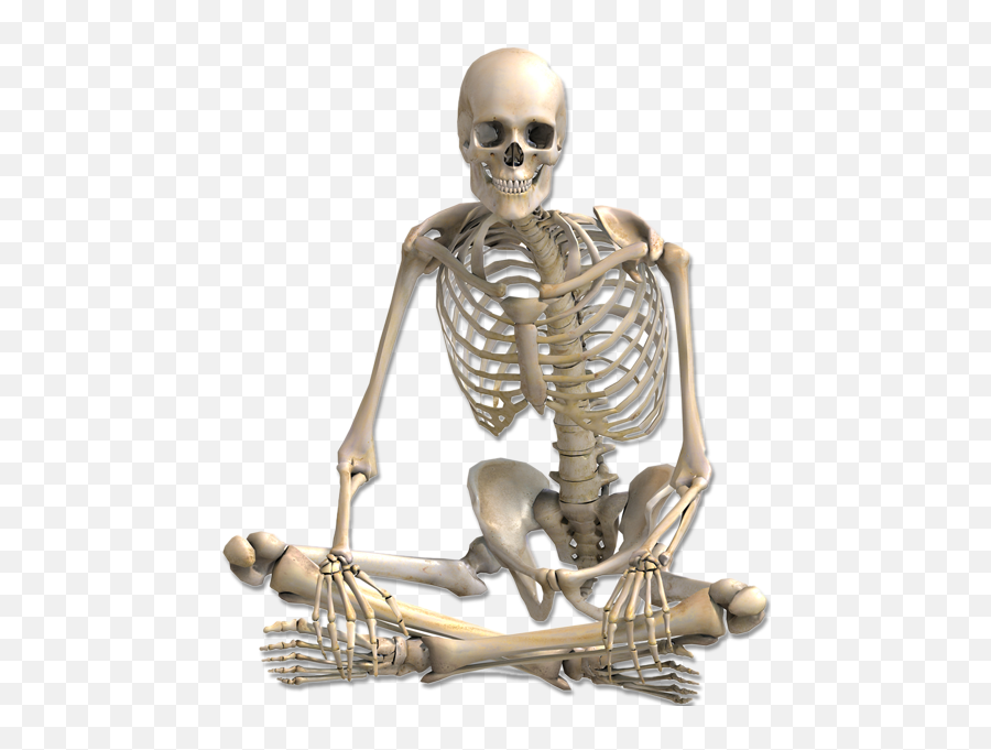 Human Skeleton Anatomy - Stencil Picture 1215296 Png Skeleton Sitting Transparent Background,Skeleton Png Transparent
