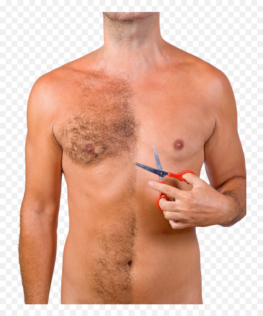 Body Hair Transplant - Body Hair Transparent Png,Chest Hair Png