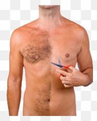 Body Hair Transplant - Body Hair Transparent Png,Chest Hair Png