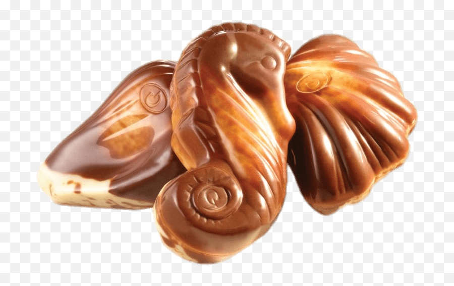 Guylian Chocolate Seashells Transparent - Guylian Chocolates India Png,Seashells Png