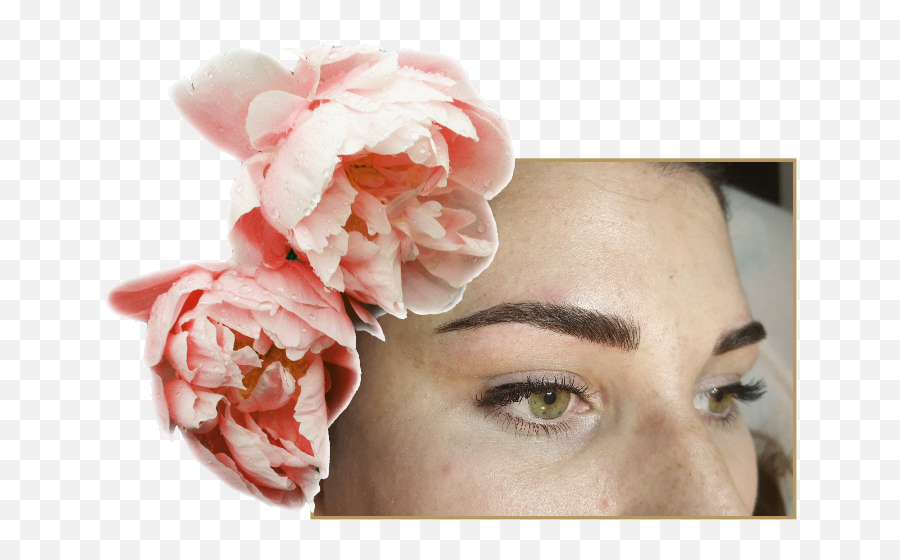 Beauty By B - Headpiece Png,Brows Png