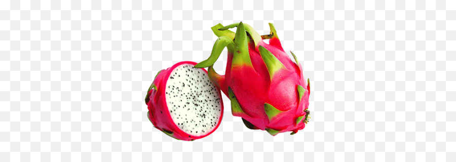 Fruit Frozen By Viet Cuisine Trading - Fruit Drakenfruit Png,Dragon Fruit Png