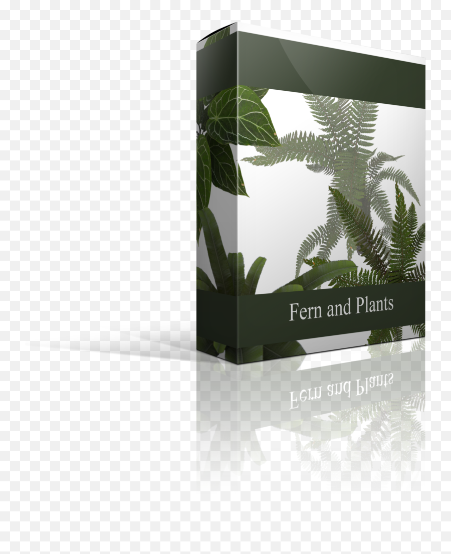 Ferns And Bushes Overlays - Vertical Png,Ferns Png