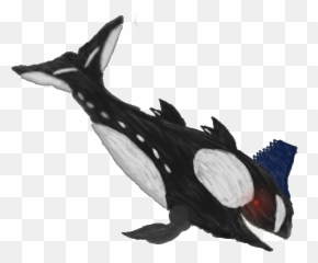 Download Subnautica Arts Wiki - Killer Whale Hd Png Leviathan Whale Png,Killer Frost Png