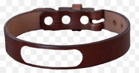 Personalized Leather Dog Collar - Solid Png,Dog Collar Png