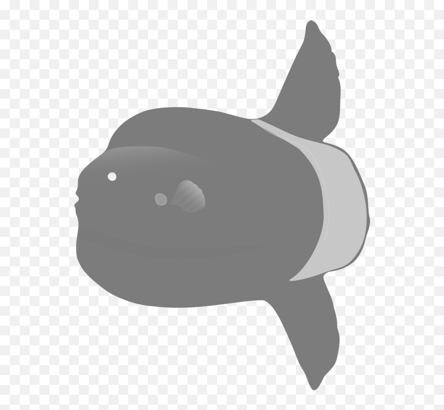 Snoutfishkiller Whale Png Clipart - Royalty Free Svg Png Ocean Sunfish,Killer Whale Png